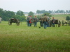 145th-Gettysburg-_2008_076.jpg